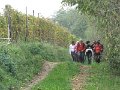 1 tra i vigneti di castelnuovo